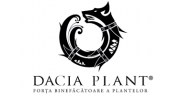 Dacia Plant